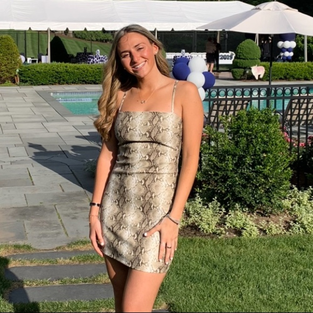 Tiger mist fake leather snake skin dress